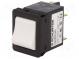 Circuit breaker  Urated  240VAC  60VDC  10A  DPST  Poles  2  34x26mm