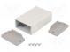 Enclosure  multipurpose  with fixing lugs, with panel  TEKAL