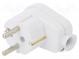Connector  AC supply  male  plug  2P+PE  250VAC  16A  white  PIN  3