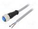 Connection lead  M12  PIN  4  straight  10m  plug  250VAC  4A  IP67